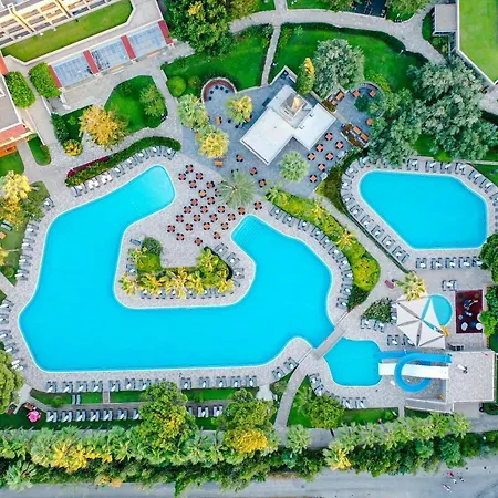 Barut Hemera シダ