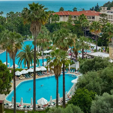 Barut Hemera シダ